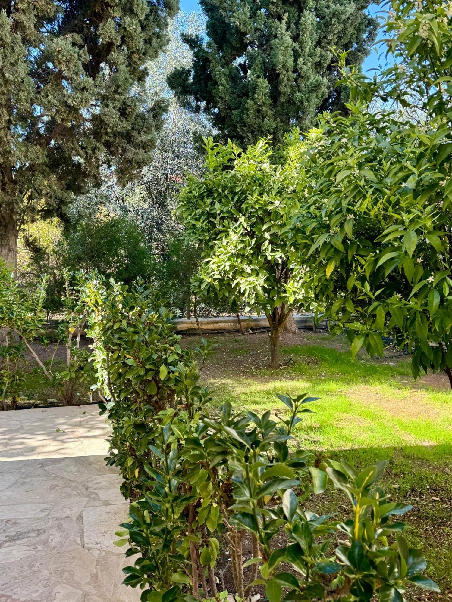 Villa Lorena بروتاراس المظهر الخارجي الصورة